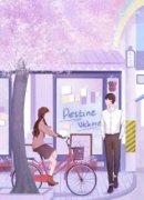 《聂双双裴齐珉白希蕊》小说精彩