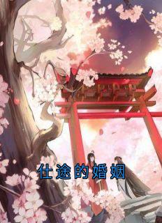仕途的婚姻婉玉宋哲小说全文章节阅读_仕途的婚姻免费完整版