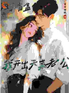 《相亲盲盒，我开出天菜老公》佟苒李泊远全文阅读