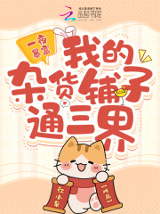 《一夜暴富，我的杂货铺子通三界》司颜夜兰息章节目录精彩阅读