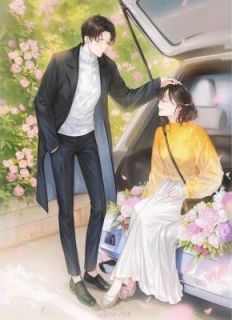 《袁总，夫人又跑了》小说全文在线试读_花令袁尚因小说全文