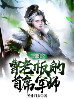 《三国之曹老板的首席军师》苏坤曹昂小说全文免费阅读