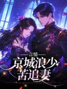 言情：京城浪少苦追妻全章节免费