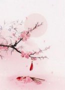 春婉宋钱精彩章节免费试读_世子妃