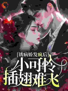 囚沐苏沐傅泽谦小说阅读_囚沐文本免费试读