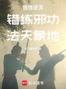 主角是悟性逆天：错练邪功，法天