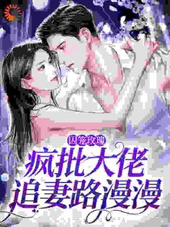 第1章为什么不爱了？沈洛兮小说_第19章全文精彩试读