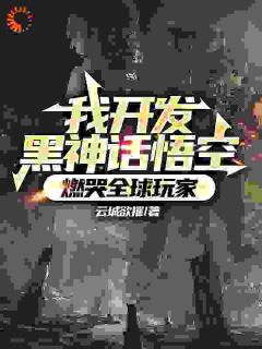 林枫呆小妹免费试读_我开发黑神话悟空，燃哭全球玩家小说章节目录