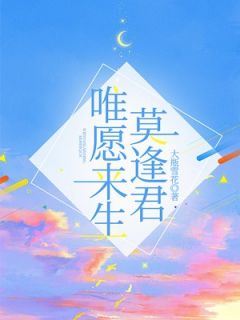 《唯愿来生莫逢君》小说主角江暖许辞风全文章节免费免费试读