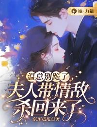 《许又清温启凡》小说章节列表免费阅读_温总别跪了，夫人带情敌杀回来了小说全文