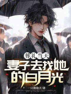 葬礼当天妻子去找她的白月光免费阅读(路南林清小说全本资源)_无广告