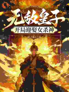 《无敌皇子，开局迎娶女杀神》叶枭梁晴嫁章节免费阅读