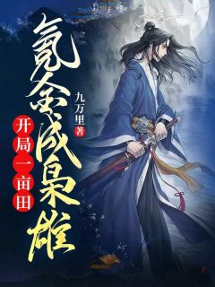 陆川郑大丫完整全文全集精彩试读_陆川郑大丫小说免费阅读