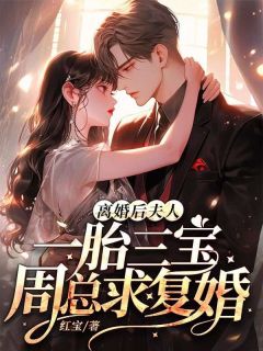 《程知微周霖》***后，夫人一胎三宝周总求复婚大结局在线阅读
