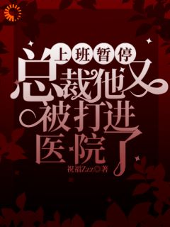 《上班暂停，总裁他又被打进医院了》苏芜沈景淮章节列表在线试读_第12章