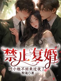 主角是禁止复婚，时***不回来过夜了的小说_《时西岁费城靳》_全文免费阅读
