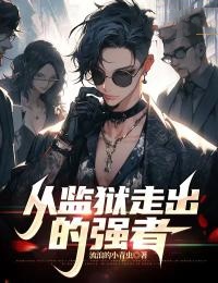 从监狱走出的强者小说_《苏毅林岚》小说全文免费试读
