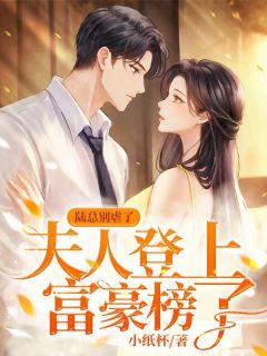 陆总别虐了，夫人登上富豪榜了by纪芸白陆远洲完整版_纪芸白陆远洲小说***阅读