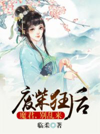 废柴狂后：魔君，别乱来小说_《月无痕赫连皓》小说全文精彩阅读