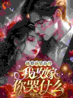 《追妻***：总裁，膝盖跪碎了》大结局免费阅读_《追妻***：总裁，膝盖跪碎了》最新章节目录