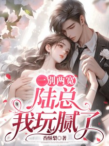 《许留夏陆衍沉》小说全集免费免费试读（一别两宽，陆总我玩腻了！）