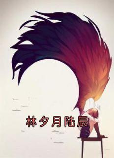 《林夕月陆辰》小说全文精彩试读_《林夕月陆辰》最新章节目录